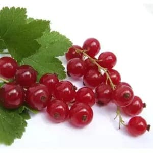 confiture
