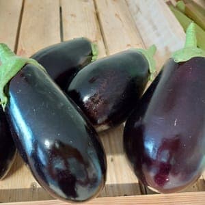 Aubergines