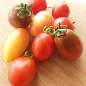 tomates petits calibres