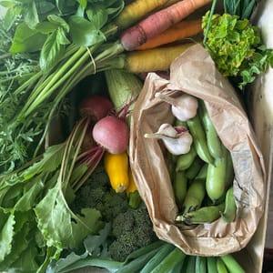panier légumes et fruits