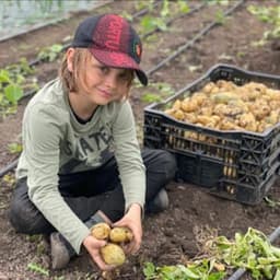 Le potager de François #6