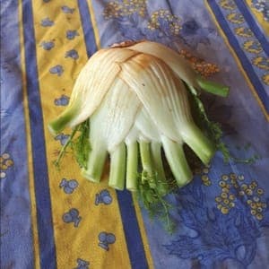 Fenouil (excellent cru à l'apéro avec une petite mayonnaise!)  (OUVRIR L'ARTICLE POUR AVOIR ACCES A LA FICHE RECETTE)