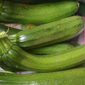 courgette longue verte bio