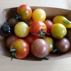 Tomate