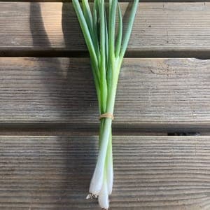 Ciboule (se mange entièrement)