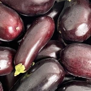 aubergine