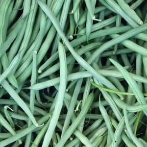 Haricot vert