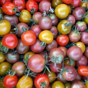 Tomates cerises multicolores