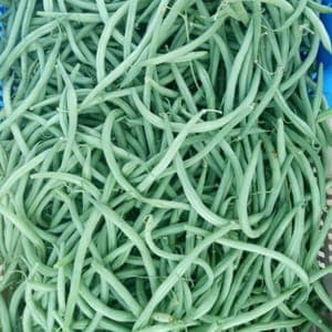 Haricots verts