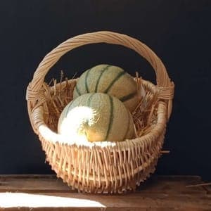 Melon