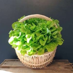 Salade