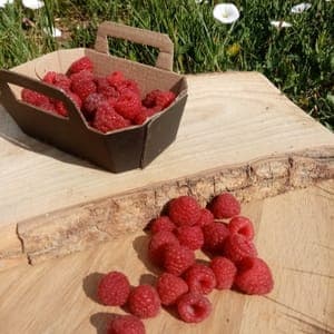 Framboise