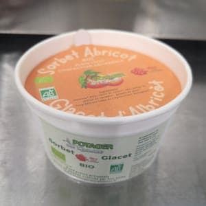 Sorbet Abricot