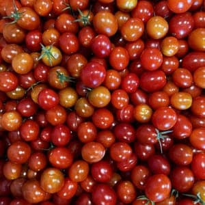 tomate cerise