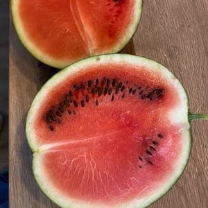 Pastèque