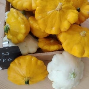Courge