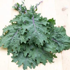 Chou Kale