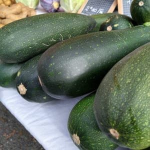 Courgette à farcir BIO