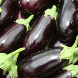 Aubergine