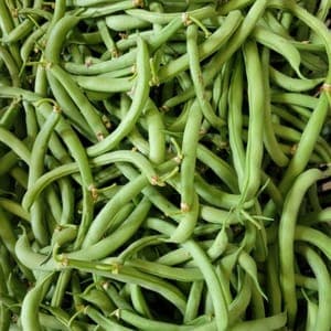 Haricots verts