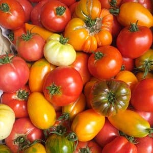 TOMATES