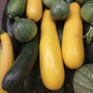 COURGETTES