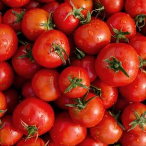 Tomates à coulis