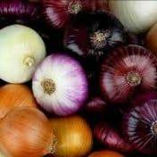 Oignons couleurs 500g