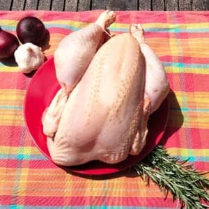 Poulet Jaune Petit 1,5 kg