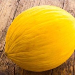 Melon canari