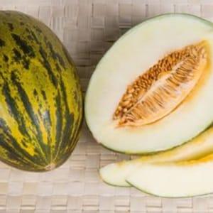 Melon piel de sapo