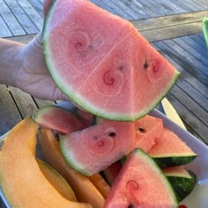 Pastèque, une demie 1/2 (environ 1.5kg)