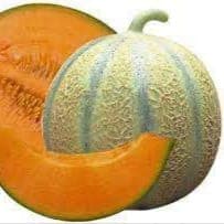 melon