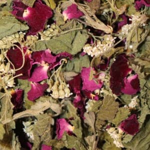 Tisane Rose de Provins - Ronce