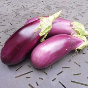 Aubergine de Toulouse