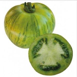 Tomate Green Zebra