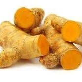 Curcuma frais