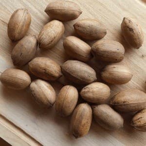 Noix de Pécan