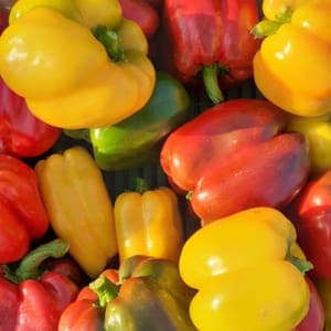 Poivrons couleur 500g
