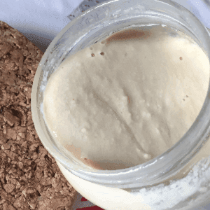 Tahini blanc crème de sésame