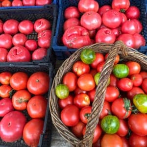 Tomates anciennes