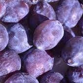 prunes datiles (type quetsche)