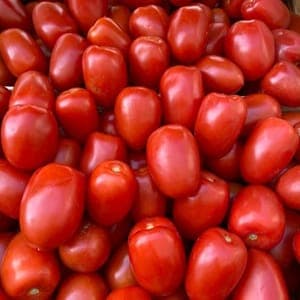 Tomates Roma à cuire