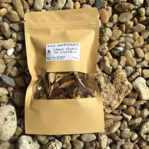 Champignons de Corrèze secs