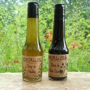 Sirop  Fleurs de sureau