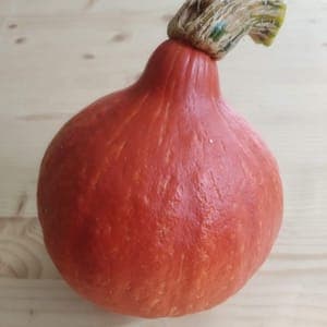 Courge