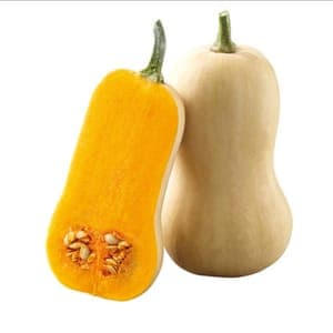Courge betternut