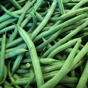 Haricot vert