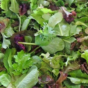 Mesclun