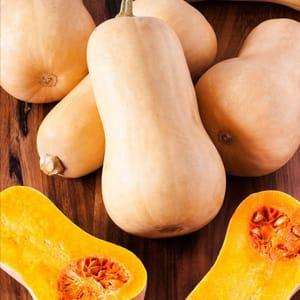 Courge Butternut (Aigue Vive)